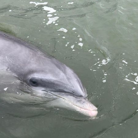 51 Dune Lane Hilton Head Island Εξωτερικό φωτογραφία